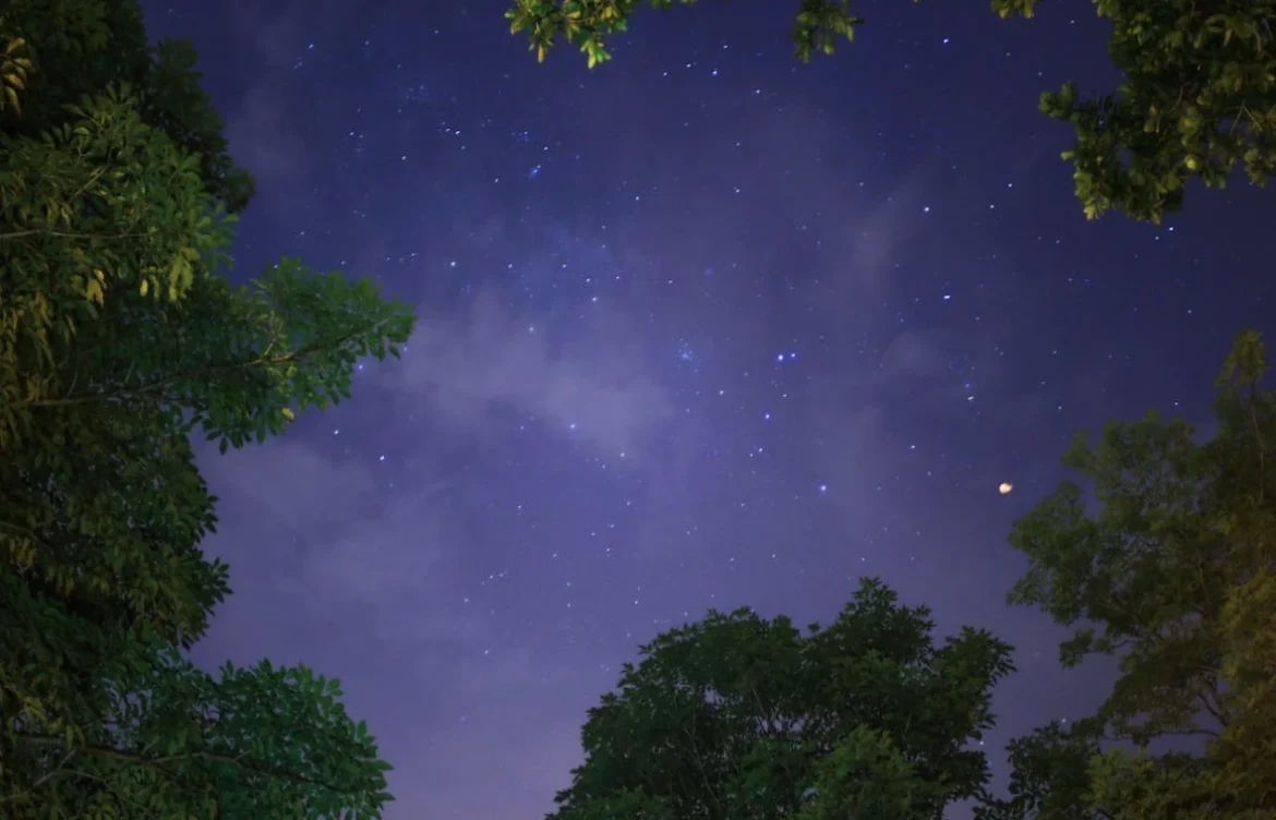 What Is Astrology? An Explanation of Astrology Basics
